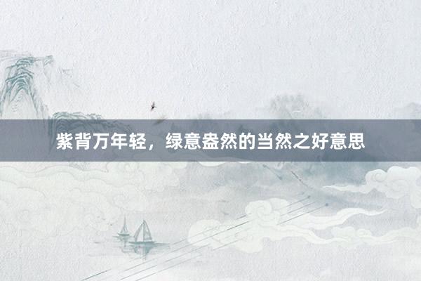 紫背万年轻，绿意盎然的当然之好意思